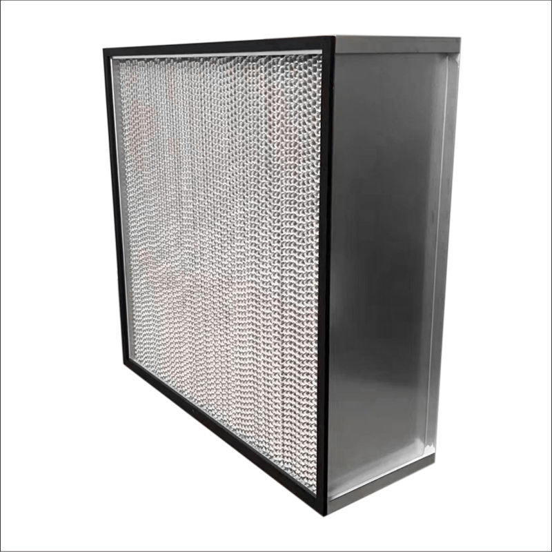 HEPA Filter with Separators 